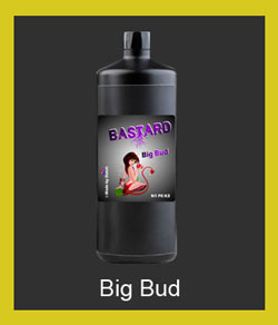 bastard-big-bud-de