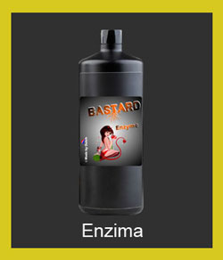 bastard-enzima