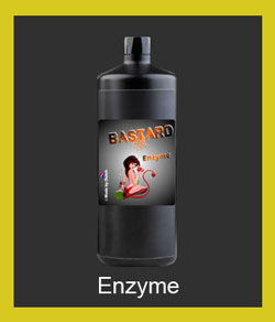 bastard-enzyme