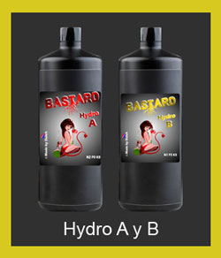bastard-hydro-a-y-b