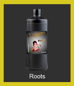 bastard-roots