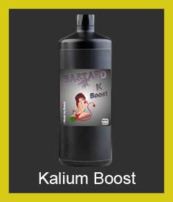 bastard-kalium-boost