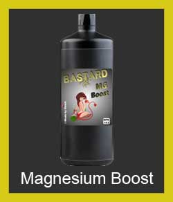 bastard-magnesium-boost
