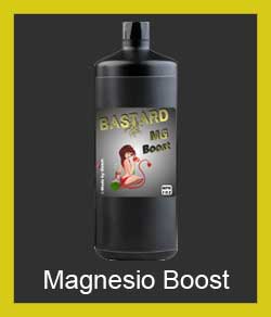magnesio-boost